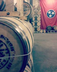 16114186_10210143792304256_6844633650508629295_n